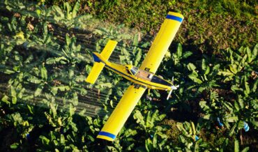 Desafíos Ambientales en Costa Rica: La Agricultura Industrial y su Impacto en el Agua
