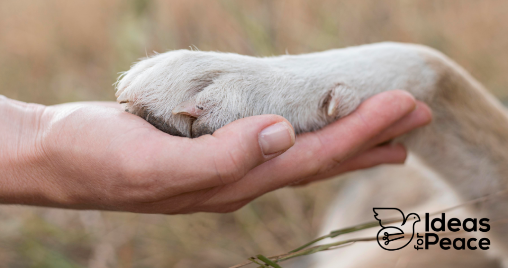 Image from Freepik.com A human hand holding a paw