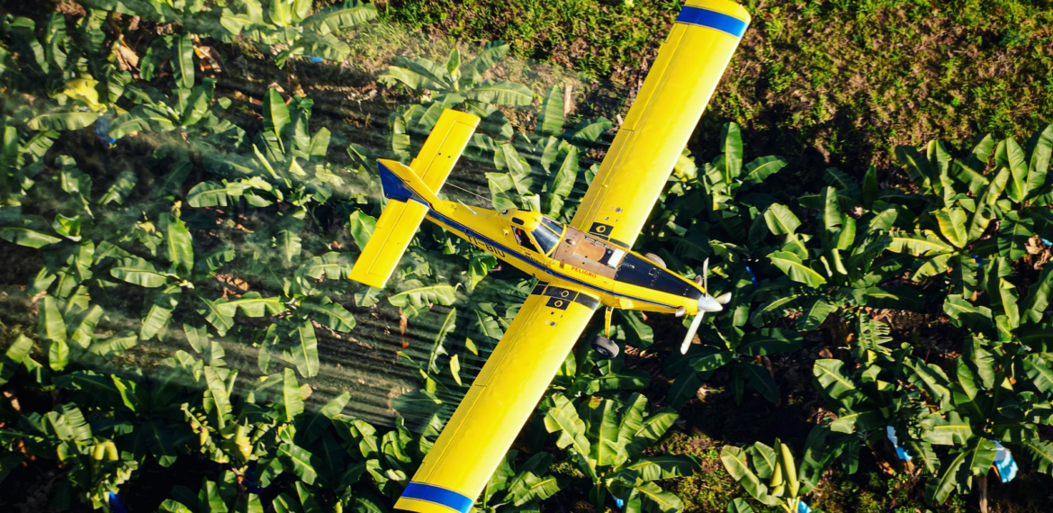 Desafíos Ambientales en Costa Rica: La Agricultura Industrial y su Impacto en el Agua.