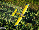 Un avión sobre una plantacion