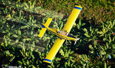 Desafíos Ambientales en Costa Rica: La Agricultura Industrial y su Impacto en el Agua.